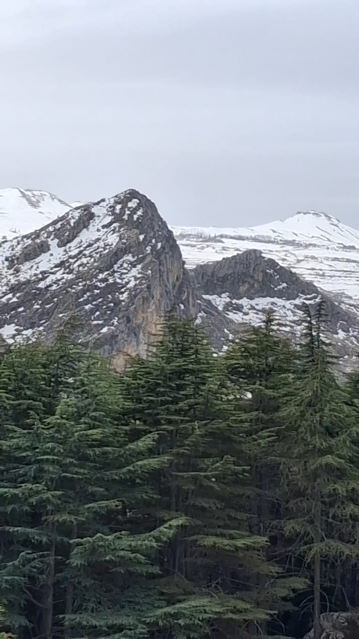 Hadath El Jebbeh snowshoeing event